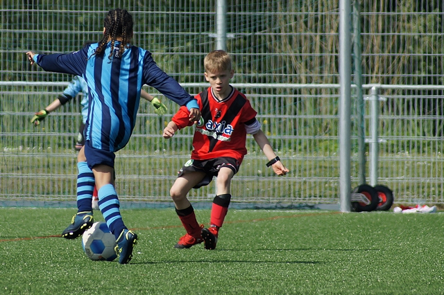 slideshow image