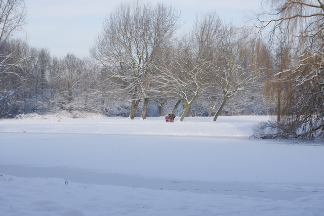 slideshow image
