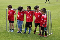 foto's
