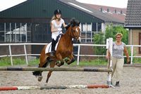 stal smit wedstrijden 2008