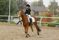 Stal Smit Opendag 2008