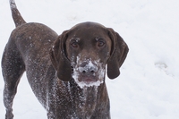 stoeien in de sneeuw